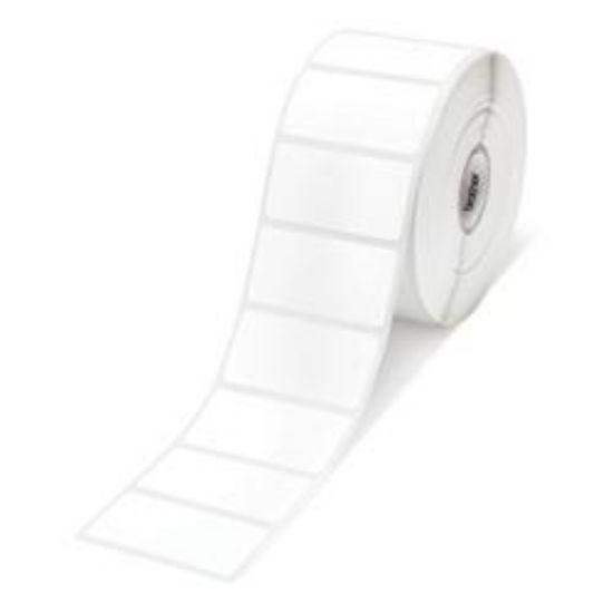 Image de Epson Premium Matte Label (C33S045532)