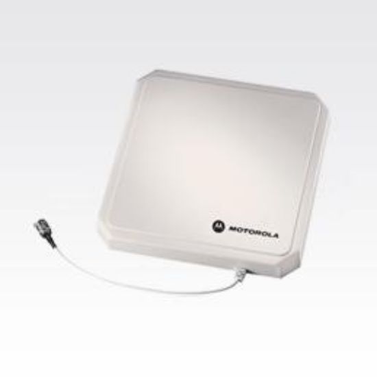 Image de Zebra  antenne 6 dBi Type-N (AN480-CL66100WR)