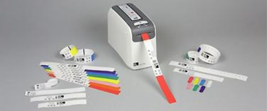 Image de Zebra Z-Band Direct Wristband (10003852)