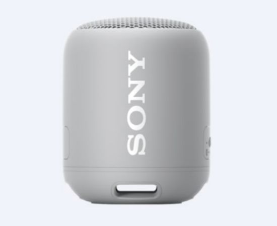 Image de Sony SRS-XB12 Enceinte portable mono Gris (SRSXB12H.CE7)