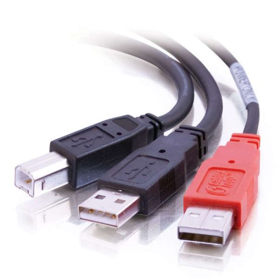 Image de C2G USB B/USB A Y-Cable câble USB 2 m 2 x USB A Noir (81578)