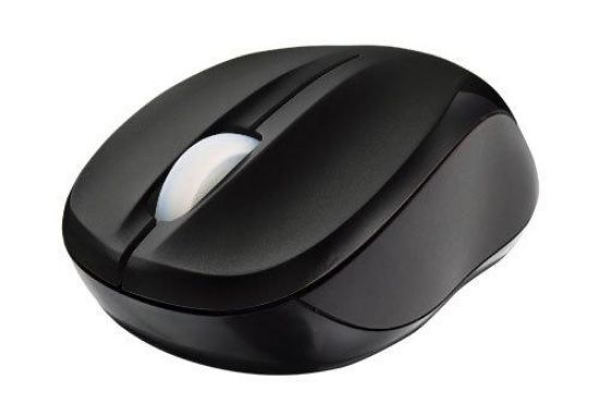 Image de Trust Vivy souris 800 DPI Ambidextre (17639)