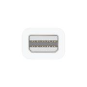 Image de Apple Thunderbolt - FireWire Adapter Adaptateur Interface ... (MD464ZM/A)