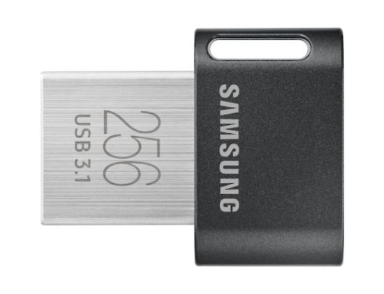 Image de Samsung MUF-256AB lecteur USB flash 256 Go USB Type-A 3.2 Gen 1 (3.1 Gen 1) Gris, Argent (MUF-256AB/APC)