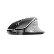 Image de CHERRY MW 8C ERGO souris Droitier RF sans fil + Bluetooth Optique 3000 DPI (JW-8600)