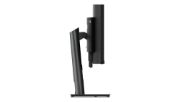 Image de Lenovo ThinkVision P49w-30 écran plat de PC 124,5 cm (49") 5120 x 1440 pixels DQHD LED Noir (63DBRAT1EU)