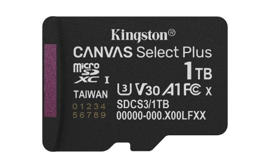 Image de Kingston Technology 1TB micSDXC Canvas Select Plus Gen3 150R A1 (Adaptateur SD non inclus) (SDCS3/1TBSP)