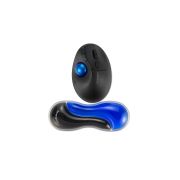 Image de Kensington Repose-poignet Slim Duo Gel pour souris/trackball - Bleu (K62439WW)