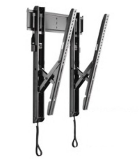 Image de Chief Thinstall Universal Tilt Wall Mount Noir (MTTU)