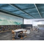 Image de Middle Atlantic Products support pour téléviseur 139,7 cm (55") Gris, Argent, Blanc (FM-DS-6675FS-GD8W)