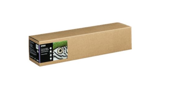 Image de Epson papier rouleau 15 m 61 cm (C13S450278NQ)