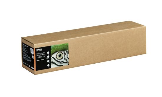 Image de Epson papier rouleau 15 m 61 cm (C13S450285NQ)
