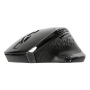 Image de Targus souris Droitier RF sans fil Blue Trace 1600 DPI (AMW584GL)