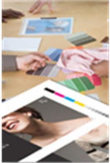 Image de Epson Pap Proofing Blanc Semi-Mat 256g 13" (0,330x30,5m) (C13S042002)