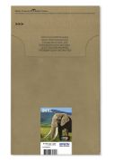 Image de Epson Multipack 6-colours 24XL EasyMail (C13T24384510)