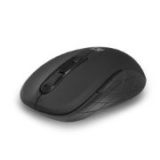 Image de ACT souris Bureau Droitier RF sans fil Optique 1600 DPI (AC5125)