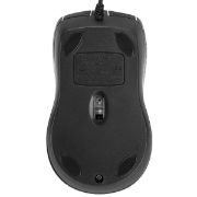 Image de Targus souris Bureau Ambidextre USB Type-A Optique 1000 DPI (AMU81AMGL)