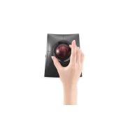 Image de Kensington Trackball SlimBlade Pro (K72080WW)