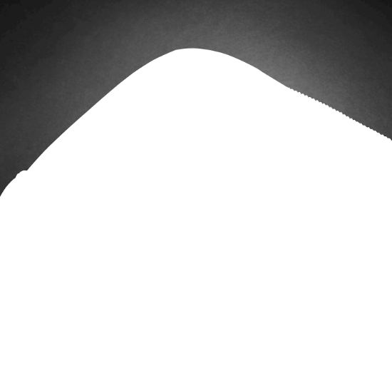 Image de HP Professional 15.6-inch Laptop Bag (500S7AA)