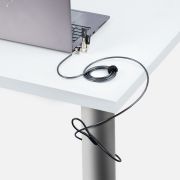 Image de StarTech.com Câble Antivol pour Ordinateur Portable de 2m - Câble de Sécurité pour PC Compatible avec Noble Wedge/Nano/K-Slot, Câble de Verrouillage à Clé, Câble Antivo ... (UNIVK-LAPTOP-LOCK)