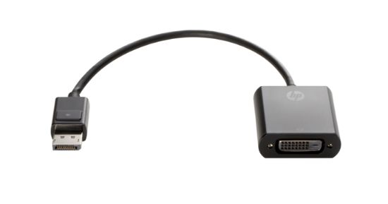 Image de HP Adaptateur DisplayPort à DVI-D (FH973AA)