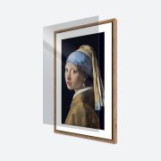 Image de NETGEAR MCAP321 (MCAP321-10000S)