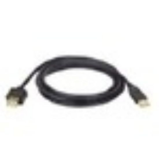 Image de Ergotron USB 2.0 Extension Cable Câble USB - Noir (97-747)