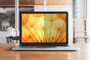 Image de 3M filtre anti-reflets pour écran et filtre de confidentialité 35,6 cm (14") Netbook Filtre de confidentialité sans bords pour ordinateur (BP140W1E)