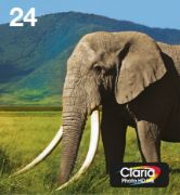 Image de Epson Multipack 6-colours 24 EasyMail (C13T24284510)