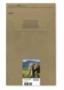 Image de Epson Multipack 6-colours 24 EasyMail (C13T24284510)