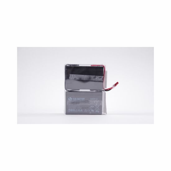 Image de Eaton Batterie de l'onduleur Sealed Lead Acid (VRLA) 6 V 9 Ah (EB010SP)
