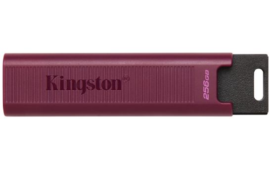 Image de Kingston Technology DataTraveler 256GB Max Type-A 1000R/900W USB 3.2 Gen 2 (DTMAXA/256GB)