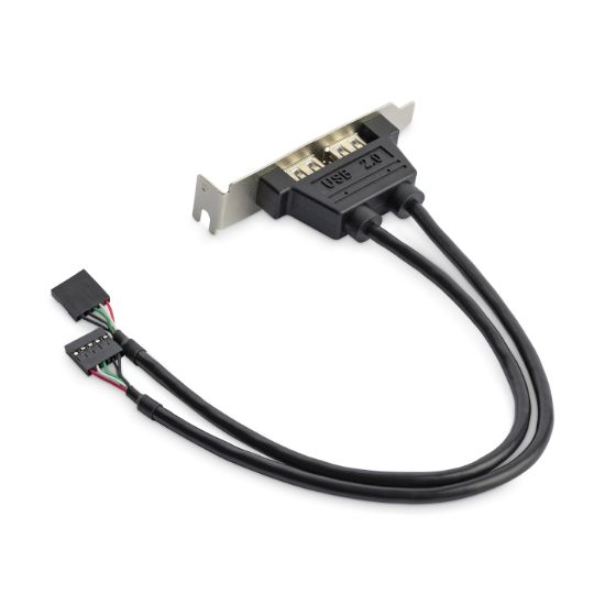 Image de StarTech.com Equerre USB 2 ports - Adaptateur Slot USB - Faible Encombrement (LP) (USBPLATELP)