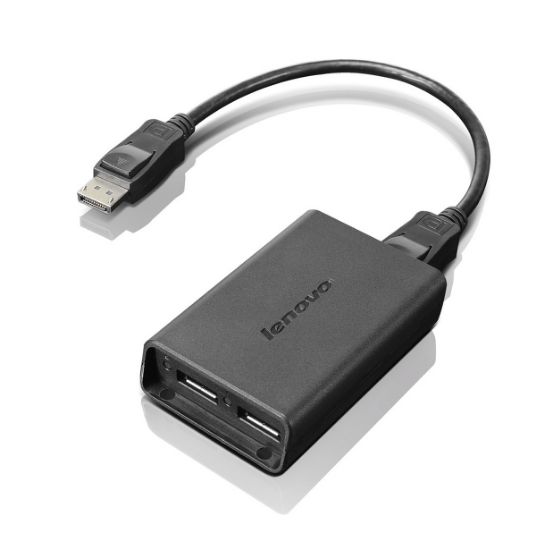 Image de Lenovo DisplayPort to Dual-DisplayPort Monitor Cable USB A Noir (0B47092)