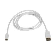Image de StarTech.com Câble adaptateur USB C vers DisplayPort de 1,8 m - 4K 60 Hz - Blanc (CDP2DPMM6W)