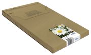 Image de Epson Daisy Multipack EasyMail "Pâquerette" 18XL - Encre Claria Home N,C,M,J (C13T18164511)