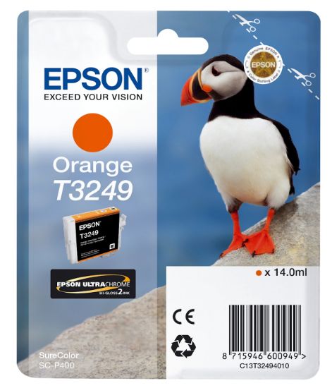 Image de Epson T3249 Orange (C13T32494010)