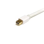 Image de StarTech.com Câble Mini DisplayPort de 1m - Vidéo Ultra HD 4K x 2K - Câble Mini DisplayPort 1.2 - Câble Mini DP vers Mini DP pour Moniteur - Cordon Mini DisplayPort - Blanc (MDPMM1MW)