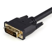 Image de StarTech.com Câble Répartiteur en Y DVI-D vers 2x DVI-D 30 cm - Câble Splitter DVI-D - M/F (DVISPL1DD)
