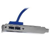 Image de StarTech.com Adaptateur Carte Mère vers Plaque 2 Ports USB 3.0 A Femelle Encastré (USB3SPLATE)