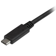 Image de StarTech.com Câble USB-B vers USB-C de 2m, USB 5Gbps, Cordon de Données, USB 3.0, Câble de Transfert de Données USB-C (USB315CB2M)