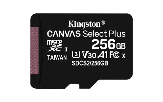 Image de Kingston Technology Carte micSDXC Canvas Select Plus 100R A1 C10 de 256 Go sans ADP (SDCS2/256GBSP)