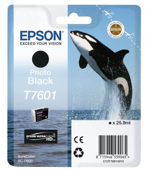 Image de Epson T7601 Noir photo (C13T76014010)