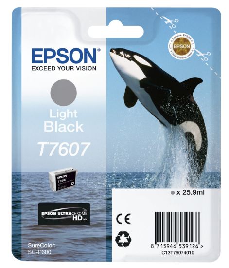 Image de Epson T7607 Noir clair (C13T76074010)