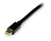 Image de StarTech.com Câble Mini DisplayPort vers DisplayPort 1.2 de 4m - Câble Adaptateur Mini DisplayPort vers DP 4K x 2K UHD - Câble Mini DP vers DP pour Moniteur - Câble Convertiss ... (MDP2DPMM4M)
