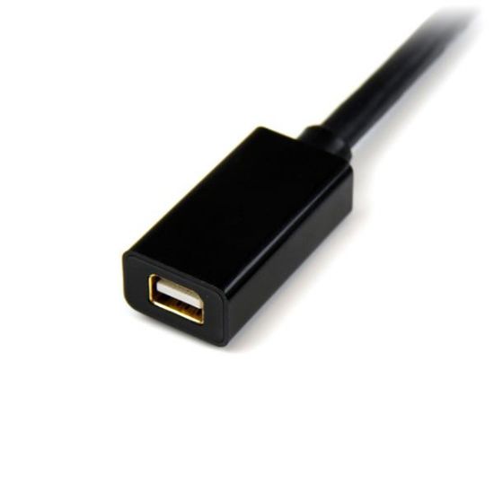 Image de StarTech.com Câble d'Extension Mini DisplayPort de 2 m - Vidéo 4K x 2K - Câble d'Extension Mini DisplayPort Mâle vers Femelle - Câble d'Extension mDP 1.2 - Fonctionne avec Mini D ... (MDPEXT6)