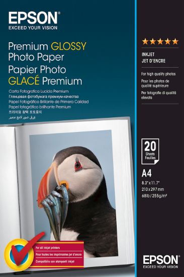 Image de Epson Premium Glossy Photo Paper - A4 - 20 Feuilles (C13S041287)