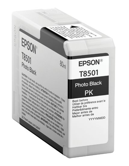Image de Epson Singlepack Photo Black T850100 (C13T850100)