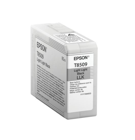 Image de Epson Singlepack Light Light Black T850900 (C13T850900)