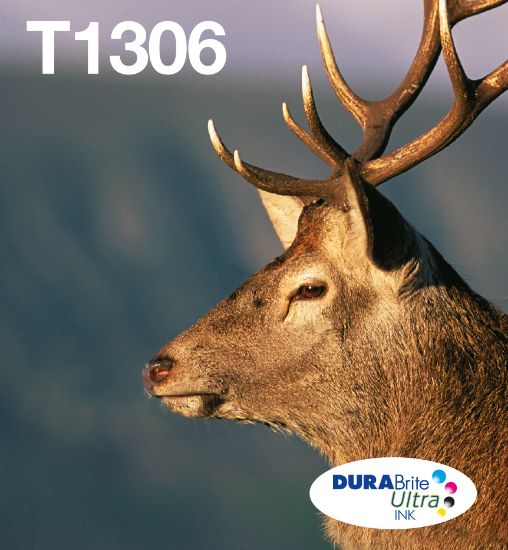 Image de Epson Stag Multipack 3-colours T1306 DURABrite Ultra Ink EasyMail (C13T13064510)